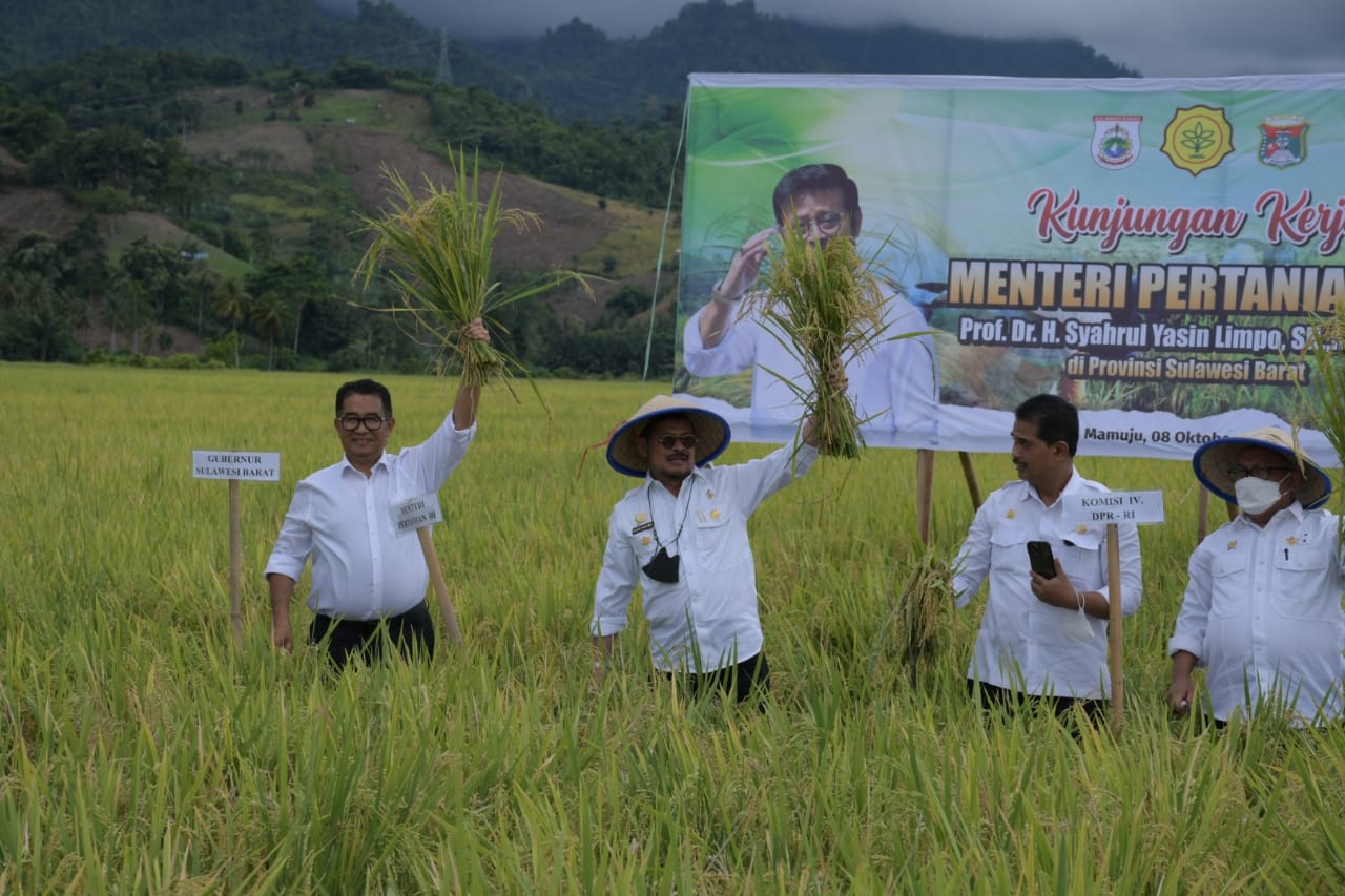 Hilirisasi Pertanian Langkah Strategi Menghadapi Krisis Pangan - Daulat ...